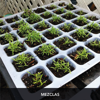 mezclas