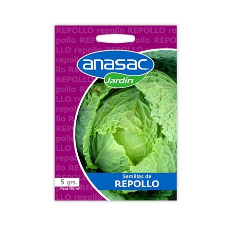 semilla-de-repollo4